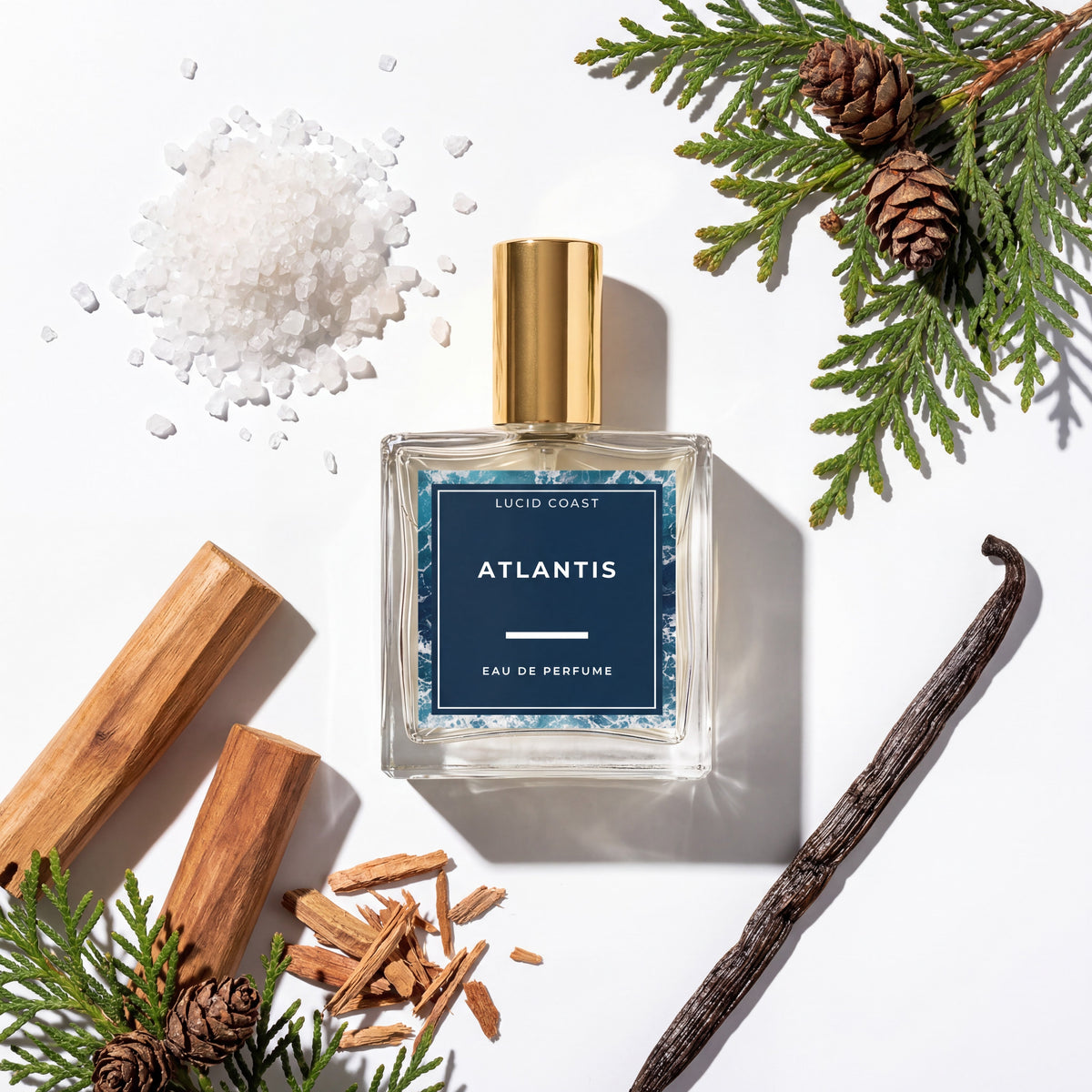 Lucid Coast Co. plant based perfume and fragrance collection