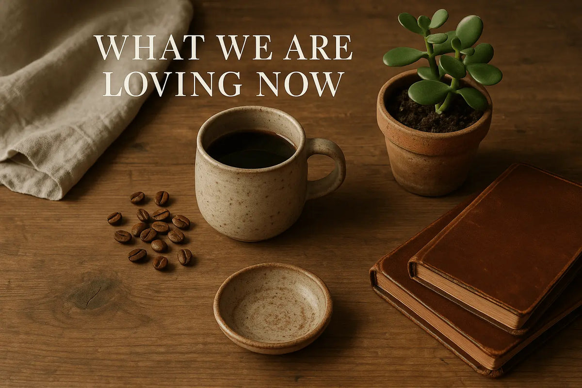 What We're Loving Now - Curated Mississippi Favorites ADAPTIVE EDGE