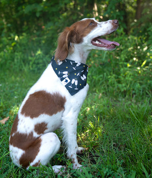 New Year’s Eve Reversible Dog Bandana by Dog Bandana Co., product view 4
