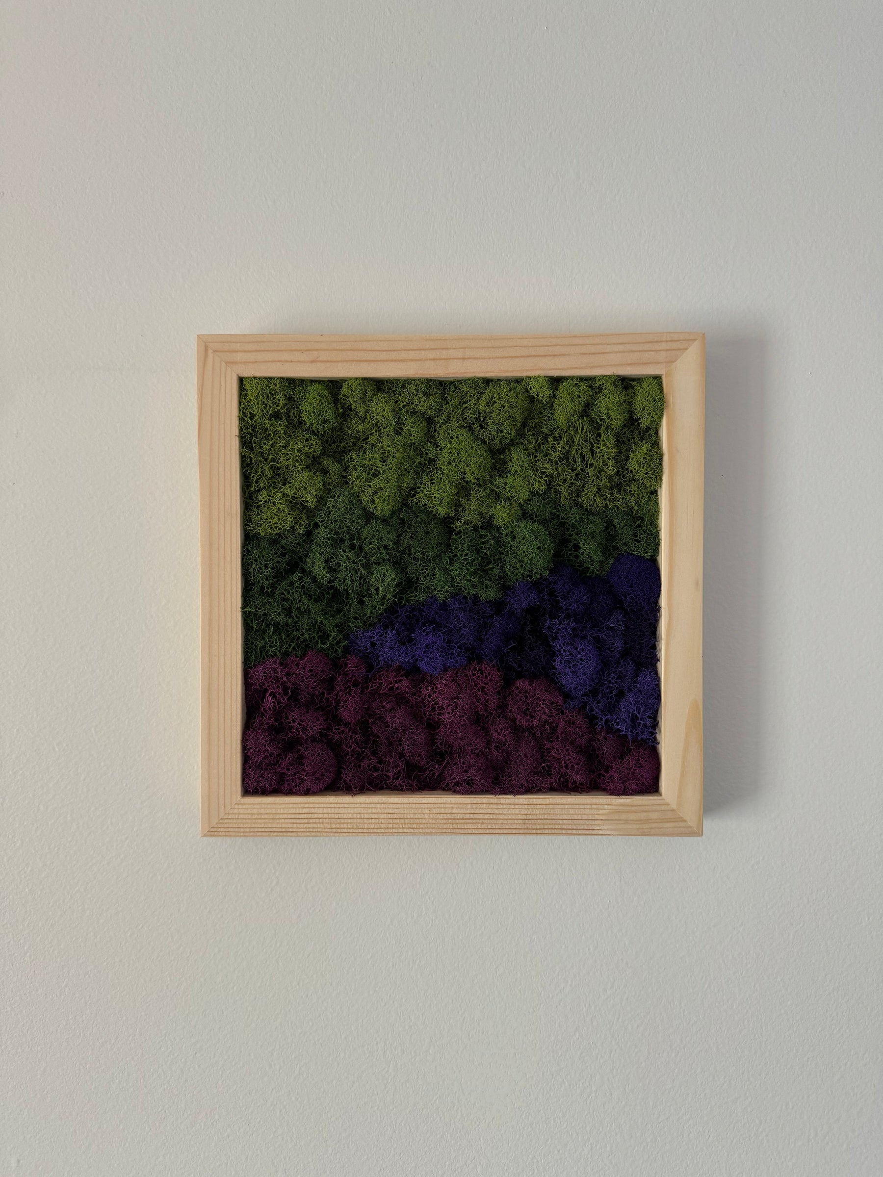 Purple Mountains, Square
