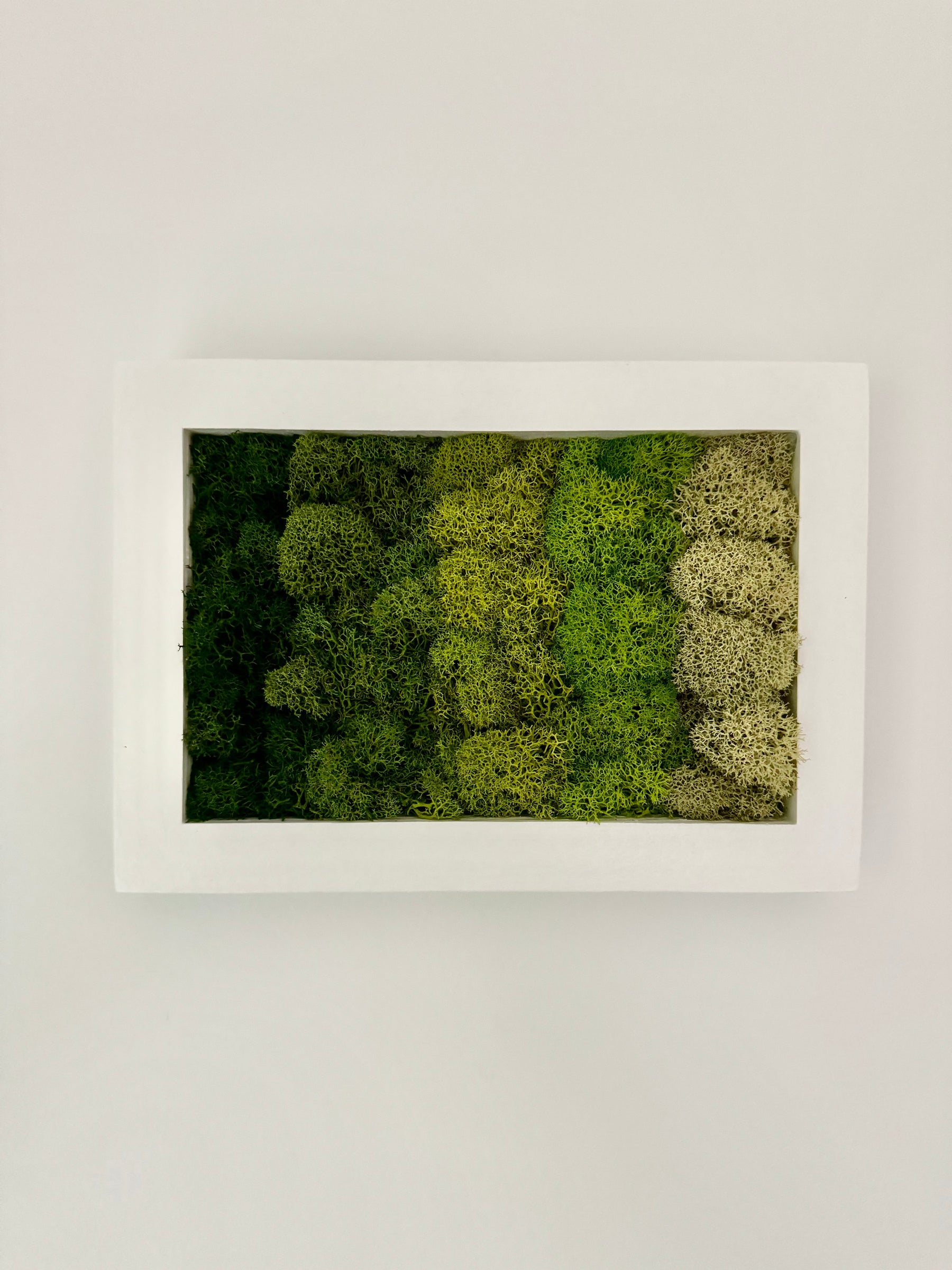 Horizontal Gradient, Rectangle