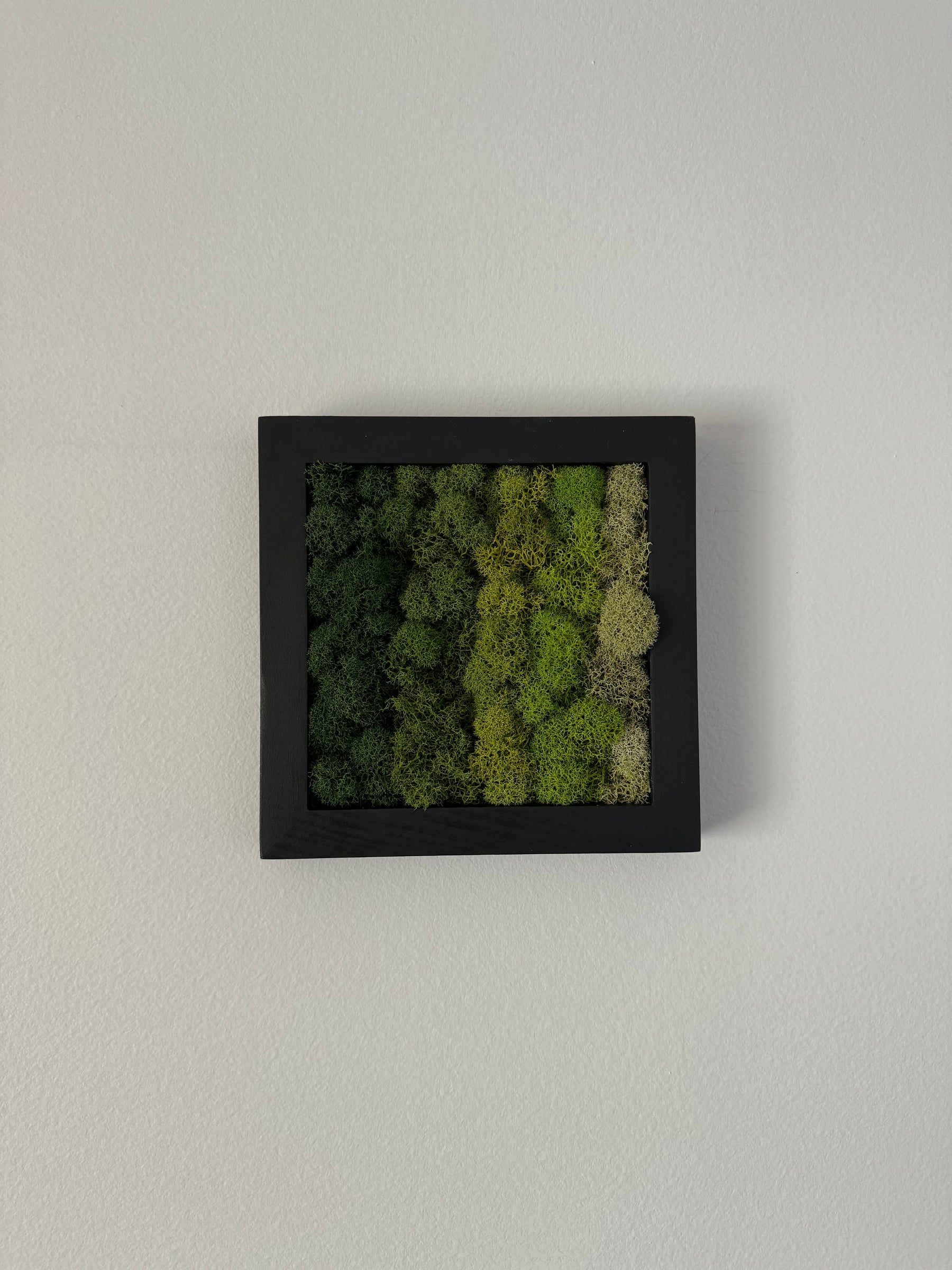 Horizontal Gradient, Square
