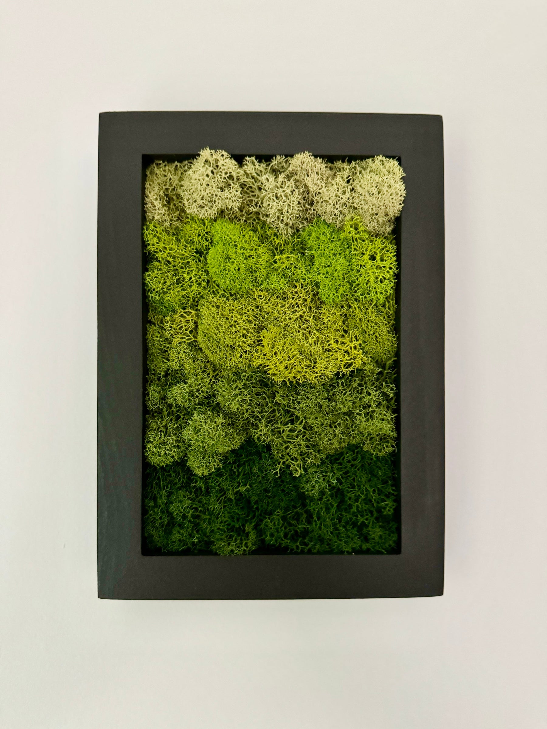Vertical Gradient, Rectangle