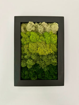 Vertical Gradient, Rectangle