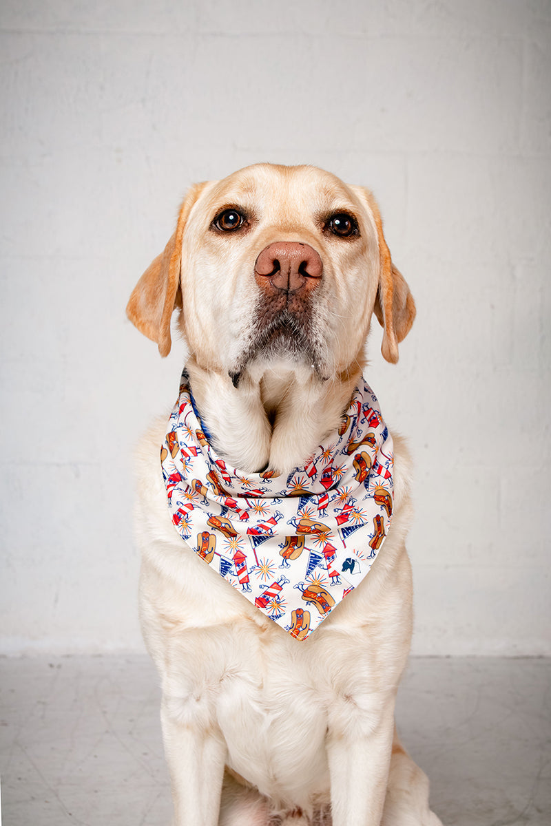 American Summer Reversible Dog Bandana & Matching Scrunchie Set