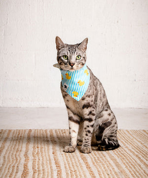 Sunny Side Rubber Duck & Rainbow Reversible Dog Bandana