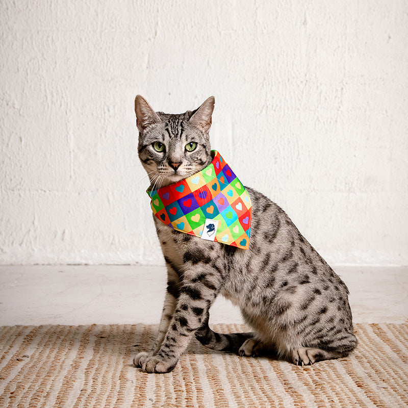 Love Wins Pride Reversible Dog Bandana