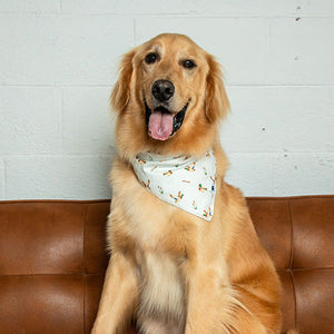 Duck & Camo Reversible Dog Bandana
