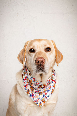 American Summer Reversible Dog Bandana & Matching Scrunchie Set