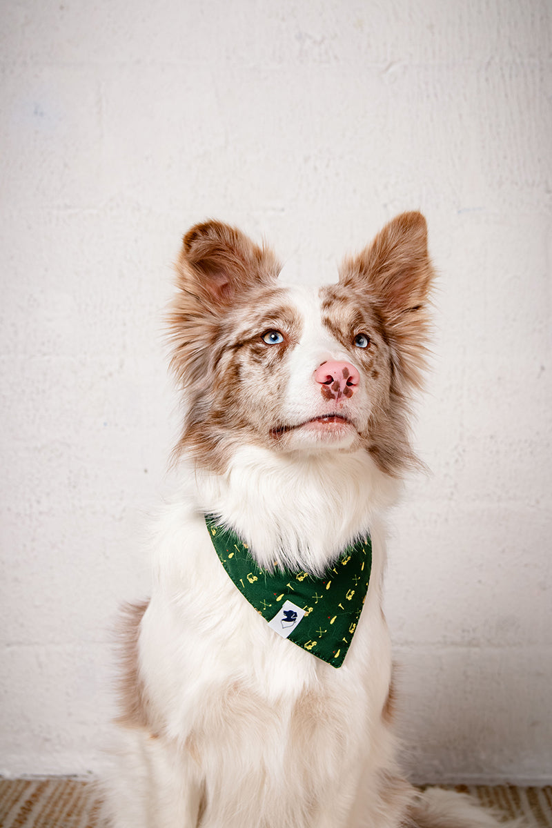 Tee Time Dog Bandana