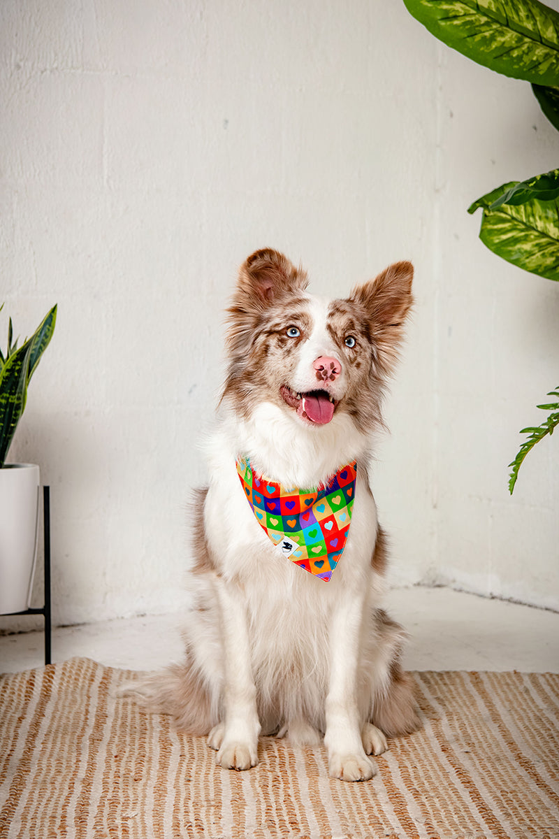 Love Wins Pride Reversible Dog Bandana