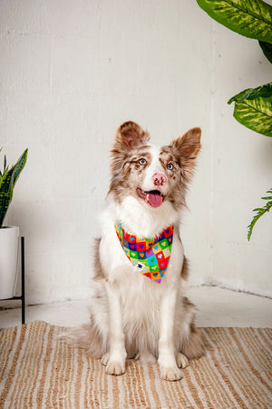 Love Wins Pride Reversible Dog Bandana
