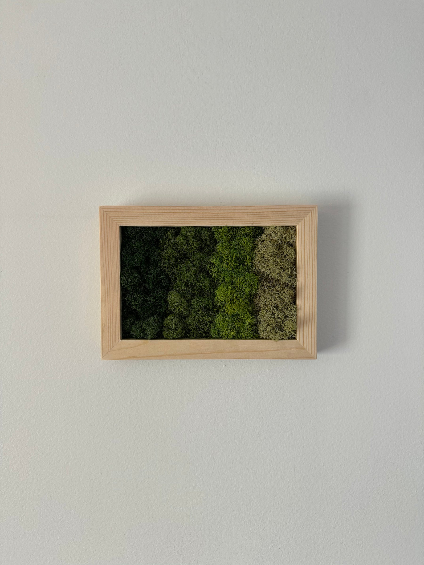 Horizontal Gradient, Rectangle