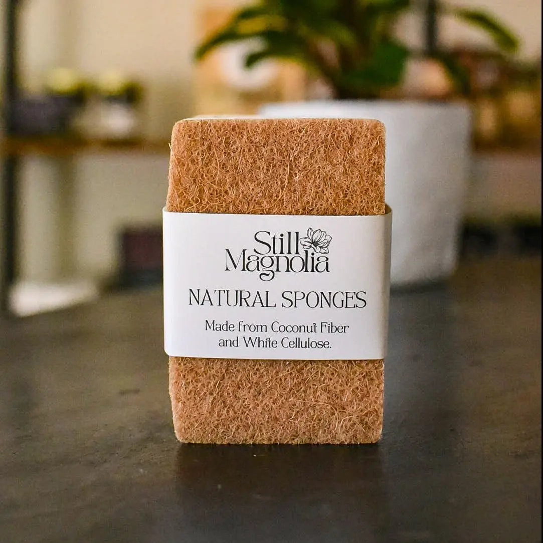 Still Magnolia natural coconut fiber and cellulose sponges