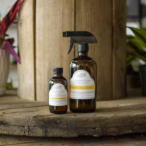 All Purpose Cleaner Concentrate - Sweet Citrus Burst Still Magnolia