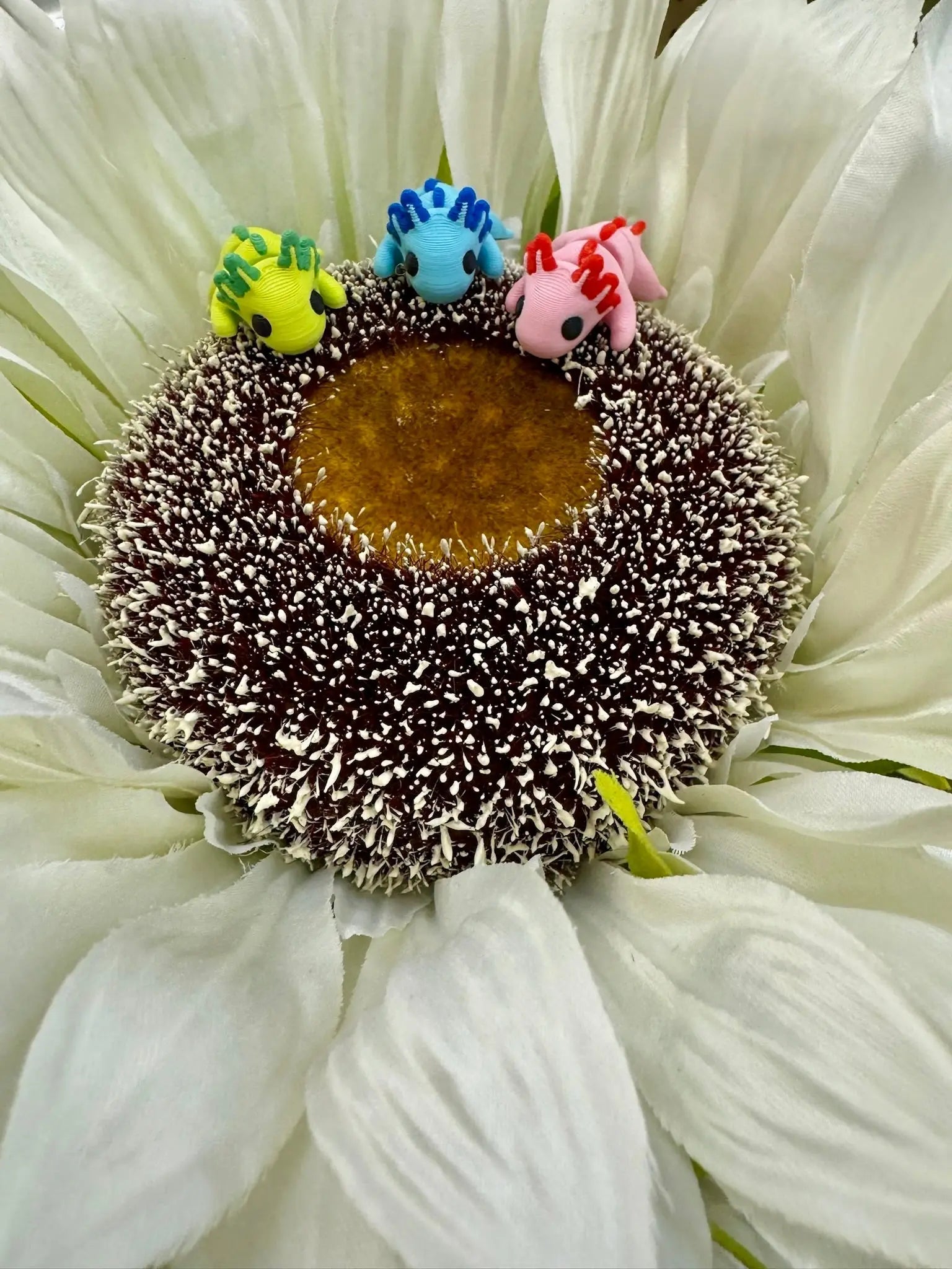 Axolotl Mini Fidget Toy Bundle | 3D Printed Sensory Toys by Mushroom Lady Co, paper gift detail photo 2