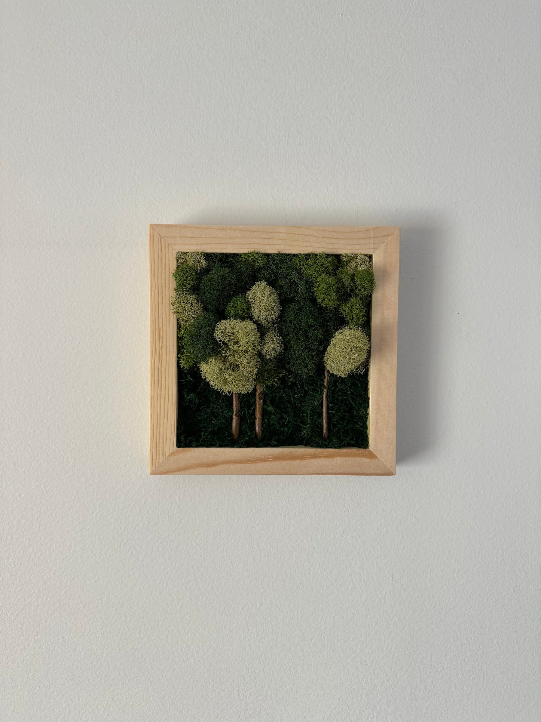Multi-green Forest, Square