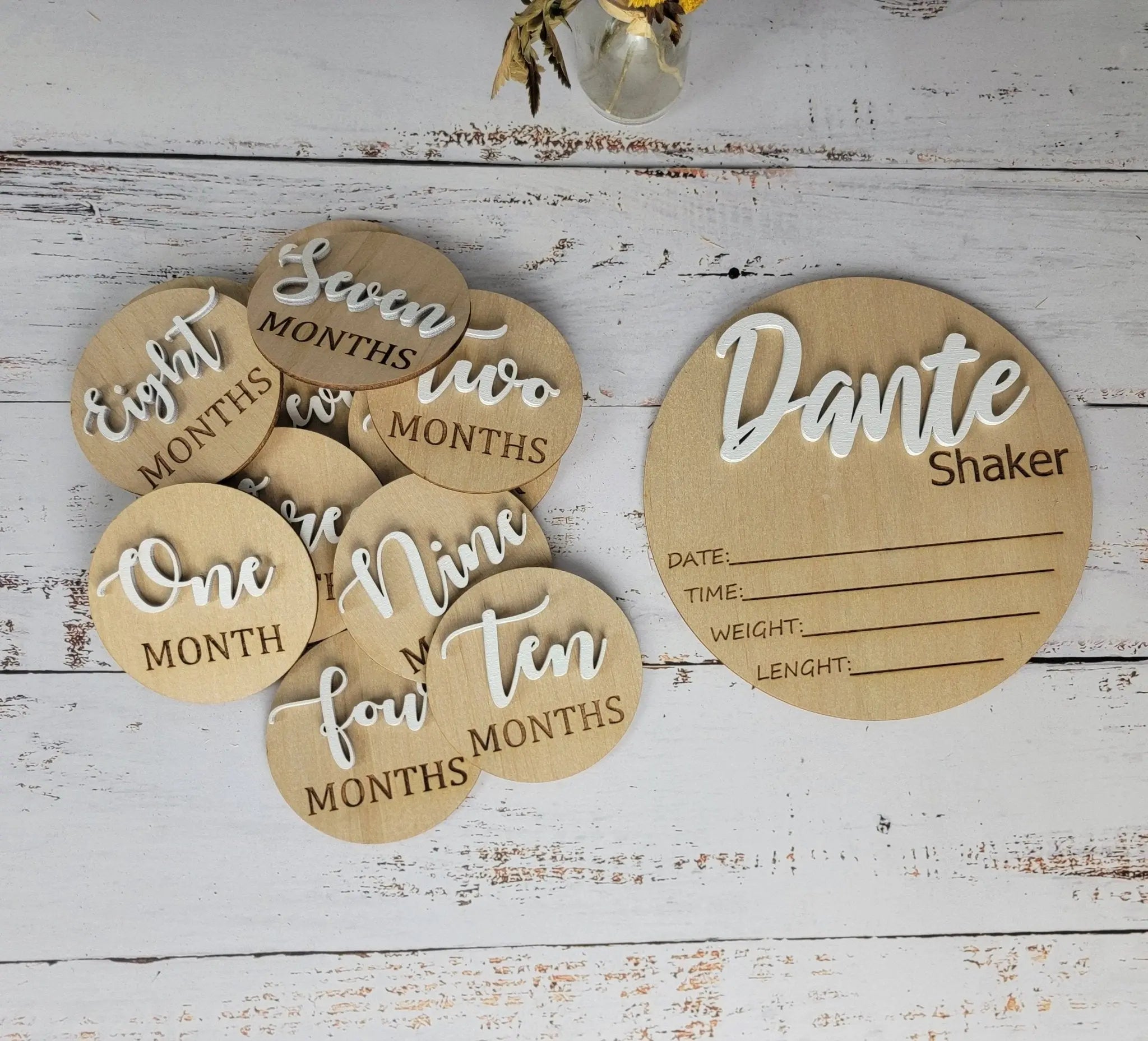 Baby Announcement Sign With Birth Stats and Milestone Discs by EverLee Creations, Southern home decor main product photo