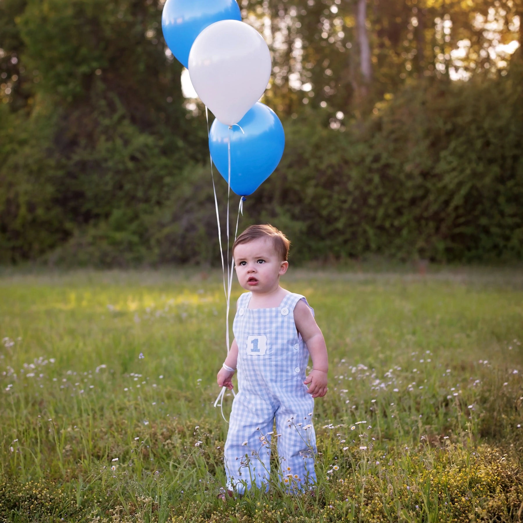 Baby Boy First Birthday Outfit | Smocked Birthday Jon Jon Seven Lantern Lane