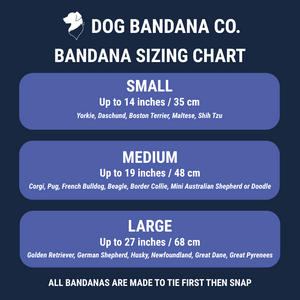 Birthday Boy & Gotcha Day Dog Bandana by Dog Bandana Co., pet accessory detail photo 5