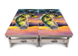 Bass Hole Cornhole Boards - Professional Tournament Series Cornhole Solutions