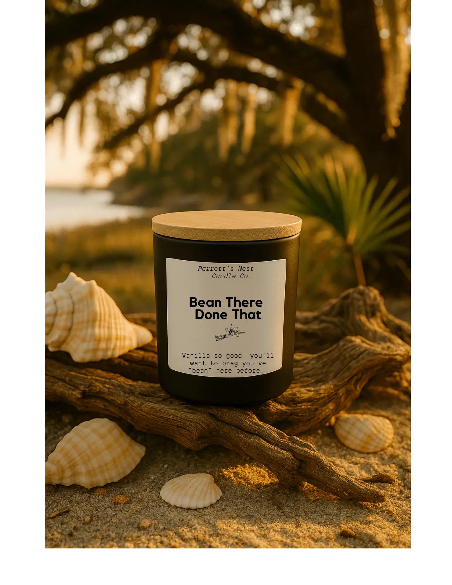 Parrott's Nest Bean There Done That Vanilla Candle: Black jar with wooden lid, on driftwood with seashells by beach.