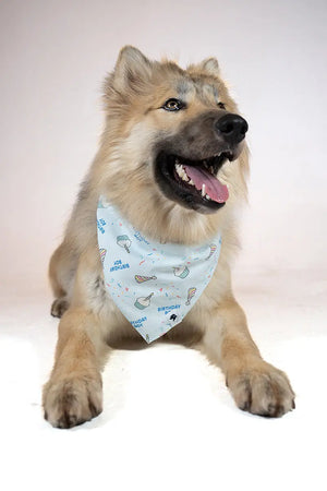 Birthday Boy & Gotcha Day Dog Bandana by Dog Bandana Co., pet accessory detail photo 3
