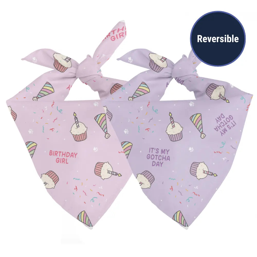 Birthday Girl & Gotcha Day Dog Bandana by Dog Bandana Co., pet accessory detail photo 2