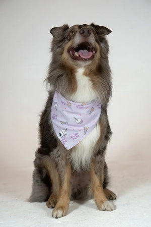 Birthday Girl & Gotcha Day Dog Bandana by Dog Bandana Co., pet accessory detail photo 3
