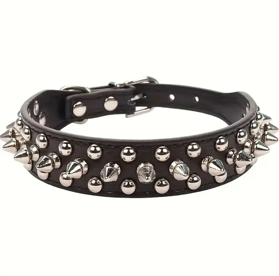 Black Spiked Studded Dog Collar | Coastal Couture | Punk Rock Dog Accessory