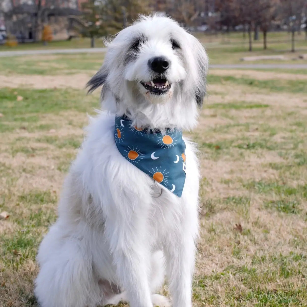 Blue Moon & Lightning Dog Bandana by Dog Bandana Co., pet accessory detail photo 5