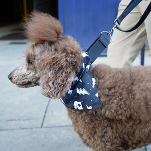 Blue Moon & Lightning Reversible Dog Bandana