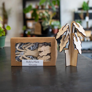 Build A Plant - Alocasia by Still Magnolia, pet accessory main product photo
