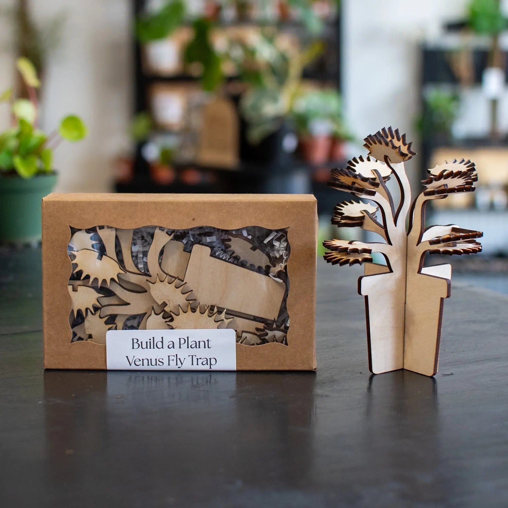 Build A Plant - Venus Fly Trap by Still Magnolia, pet accessory main product photo