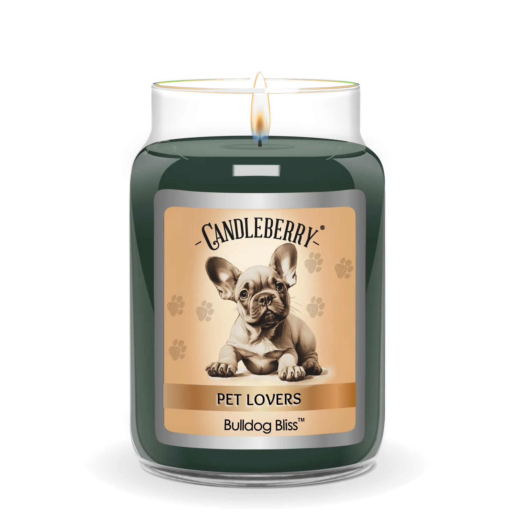 Bulldog Bliss™ - Large Jar Candle (Collective) by The Candleberry® Candle Company, scented candle detail photo 2