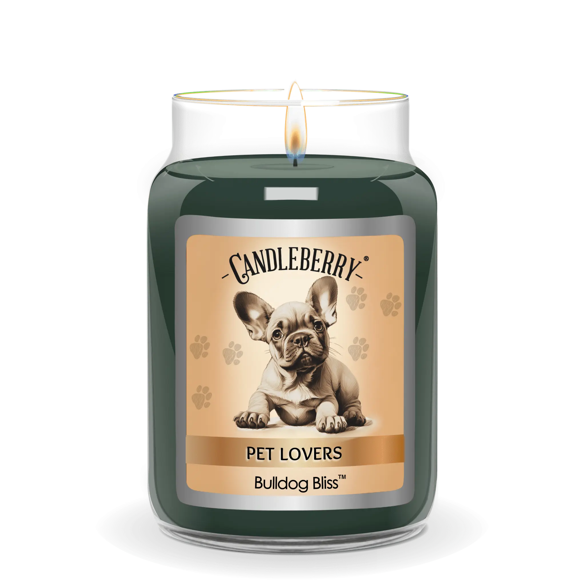 Bulldog Bliss™ - Large Jar Candle (Collective) by The Candleberry® Candle Company, scented candle detail photo 2