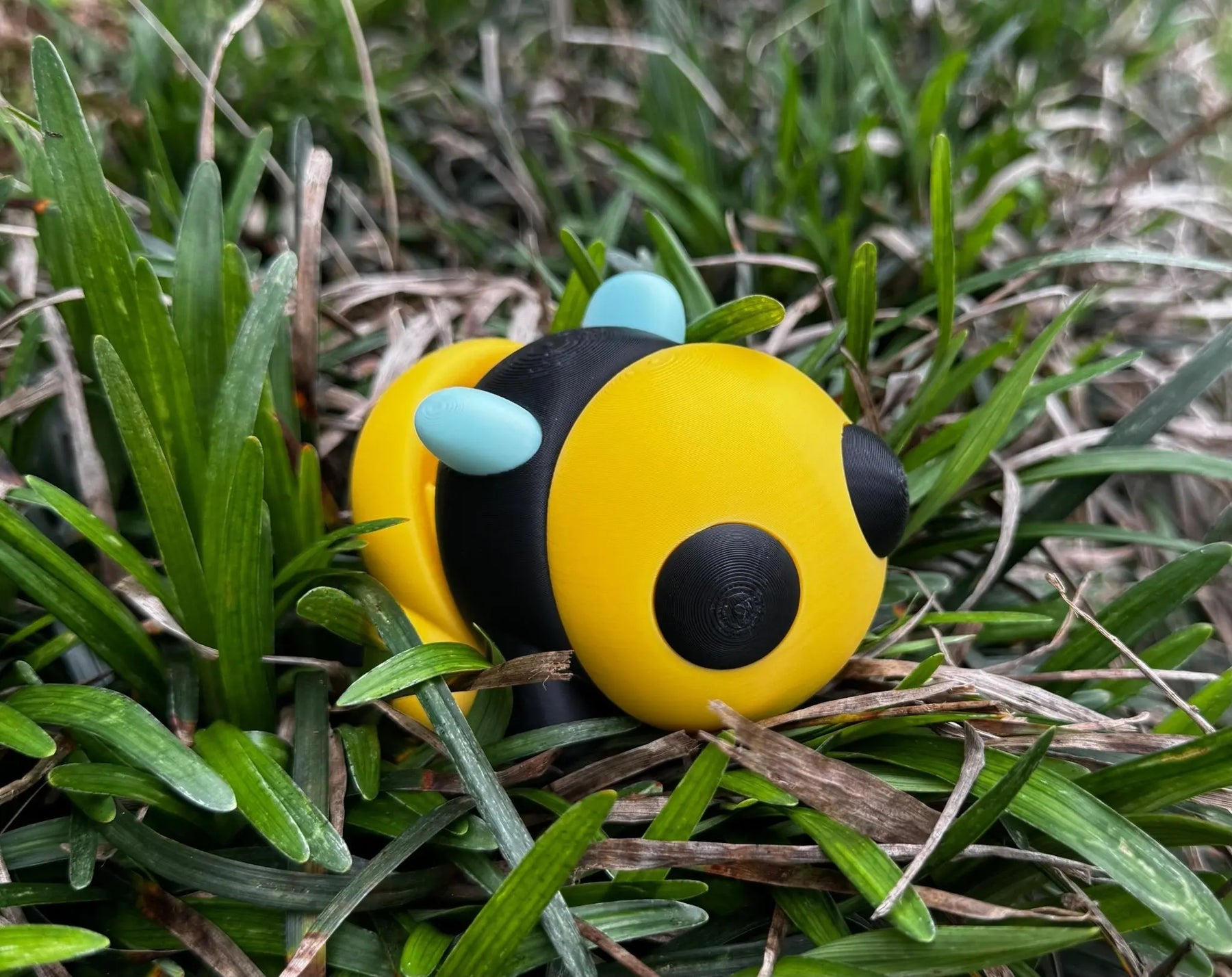 Bumblebee 3D Printed Fidget Toy | Large Nature Sensory Toy by Mushroom Lady Co, paper gift main product photo