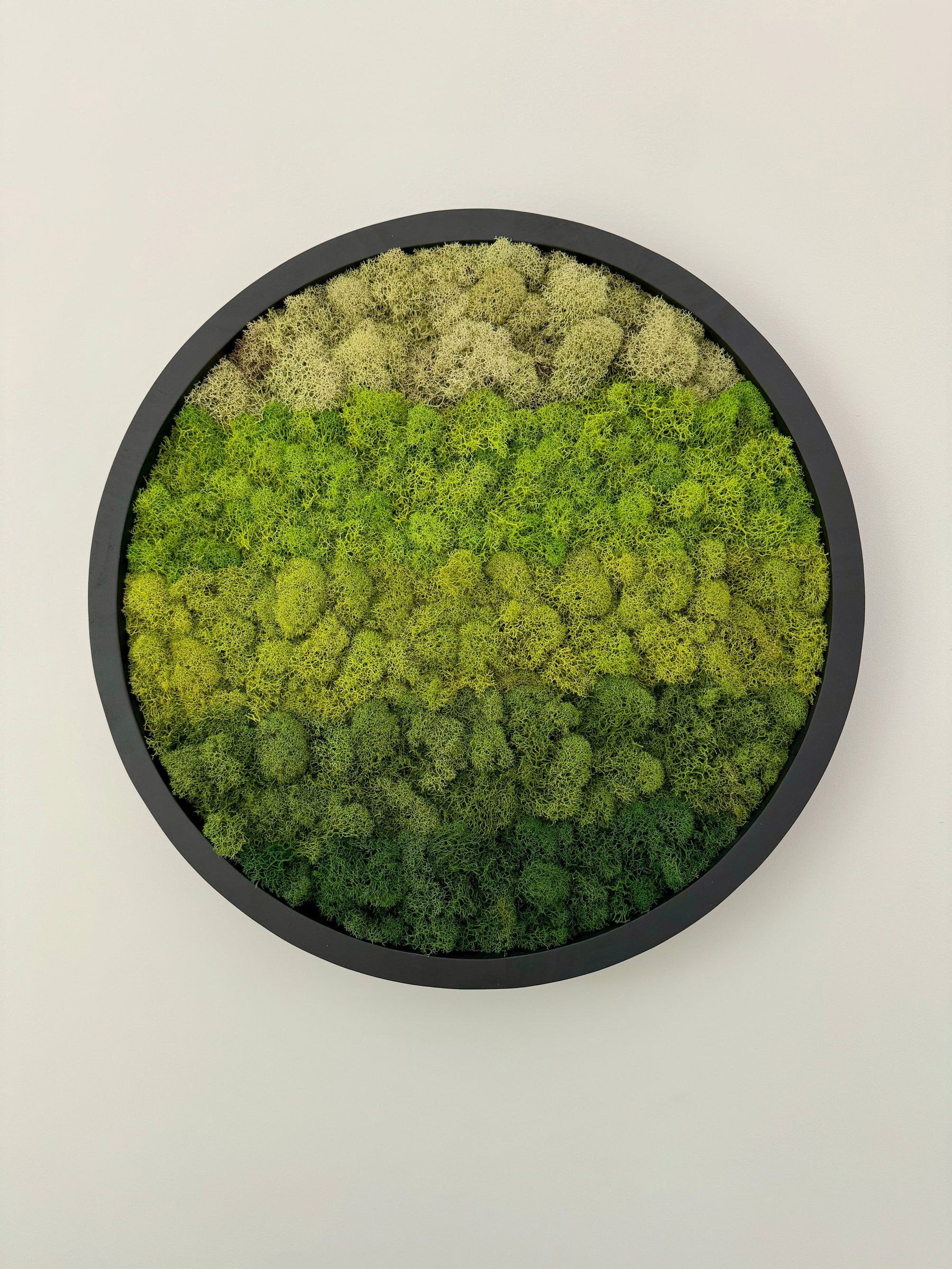 Vertical Gradient, Circle