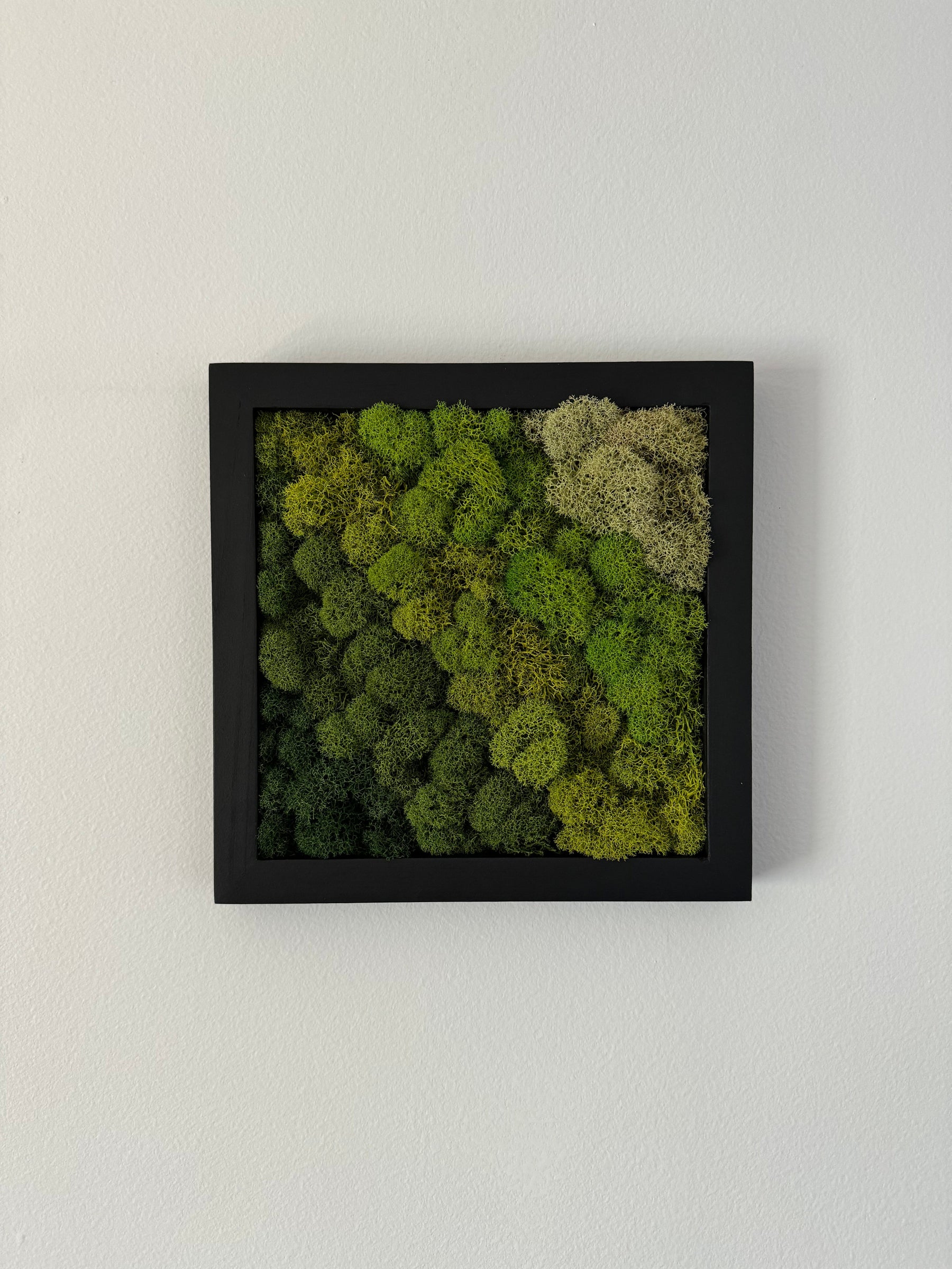 Diagonal Gradient, Square