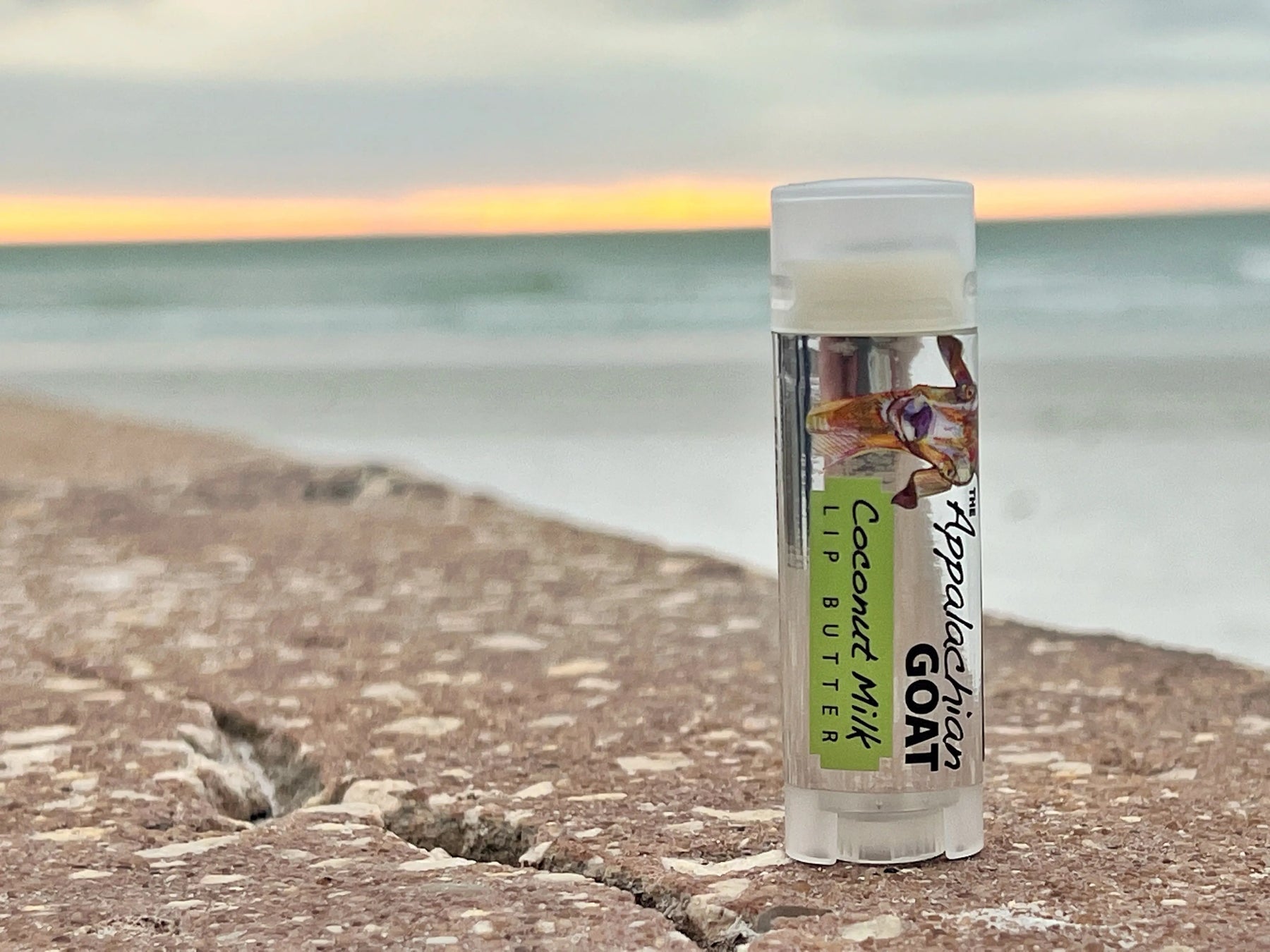 The Appalachian Goat Coconut Milk Lip Butter on a beach with ocean background.