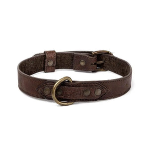 Campaign Leather Dog Collar Mission Mercantile Leather Goods