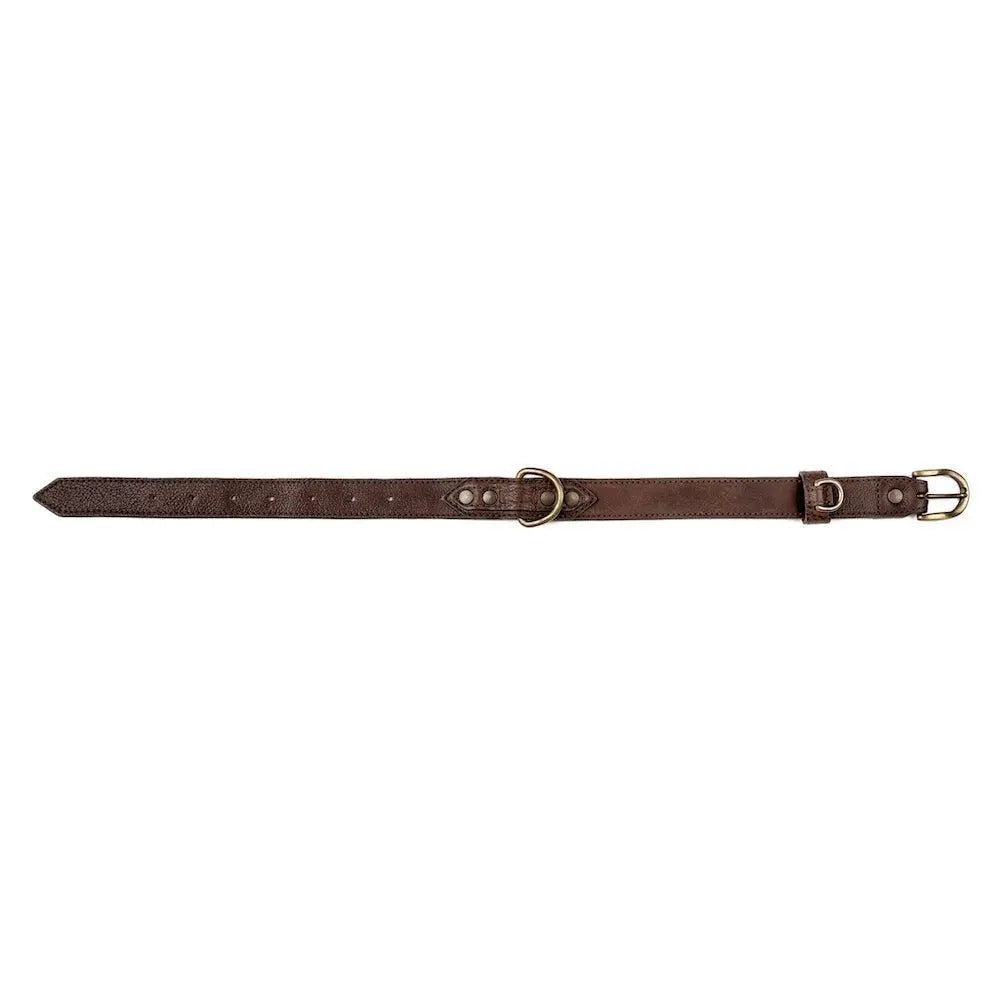 Campaign Leather Dog Collar Mission Mercantile Leather Goods