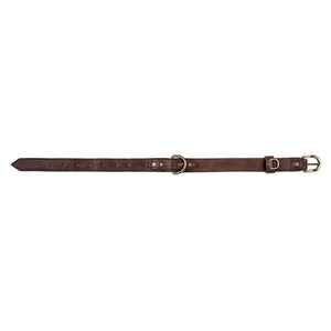 Campaign Leather Dog Collar Mission Mercantile Leather Goods