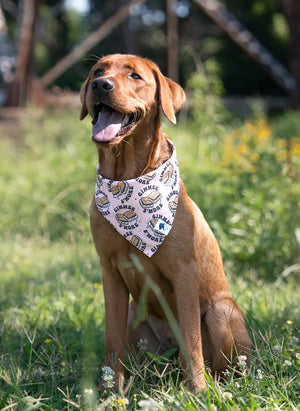 Camping & Smores Dog Bandana by Dog Bandana Co., pet accessory detail photo 3