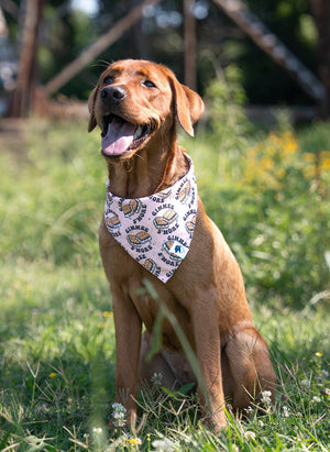 Camping & Smores Reversible Dog Bandana