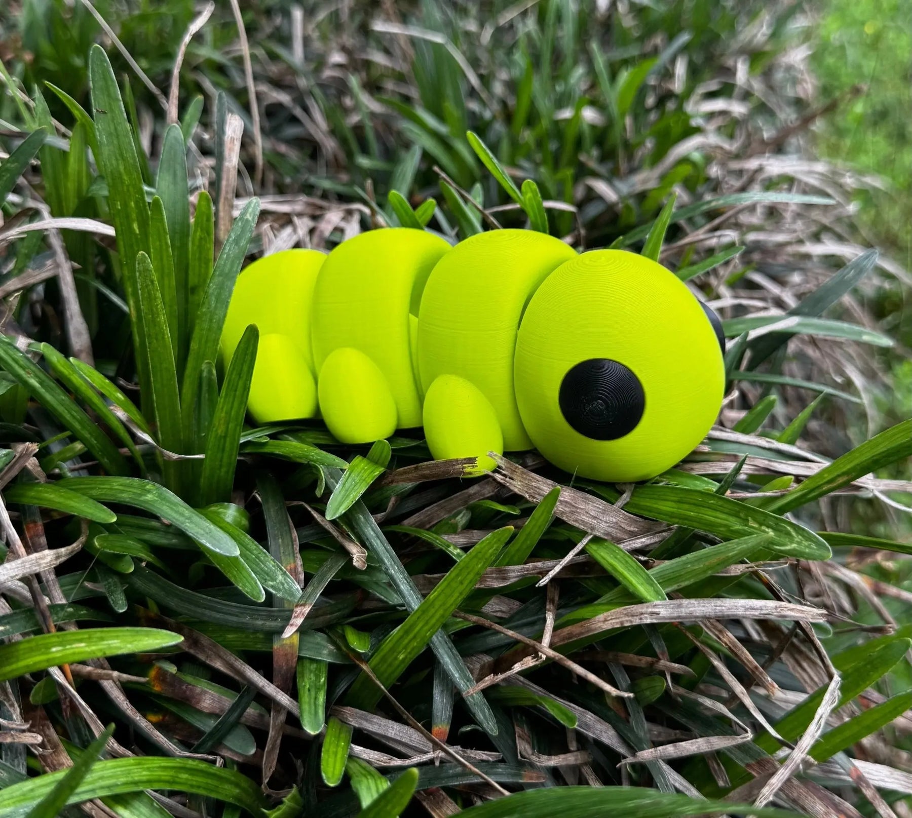 Caterpillar 3D Printed Fidget Toy | Large Nature Sensory Toy by Mushroom Lady Co, paper gift main product photo