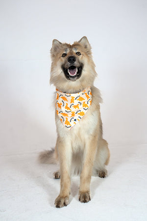 Chicken Nugget Reversible Dog Bandana