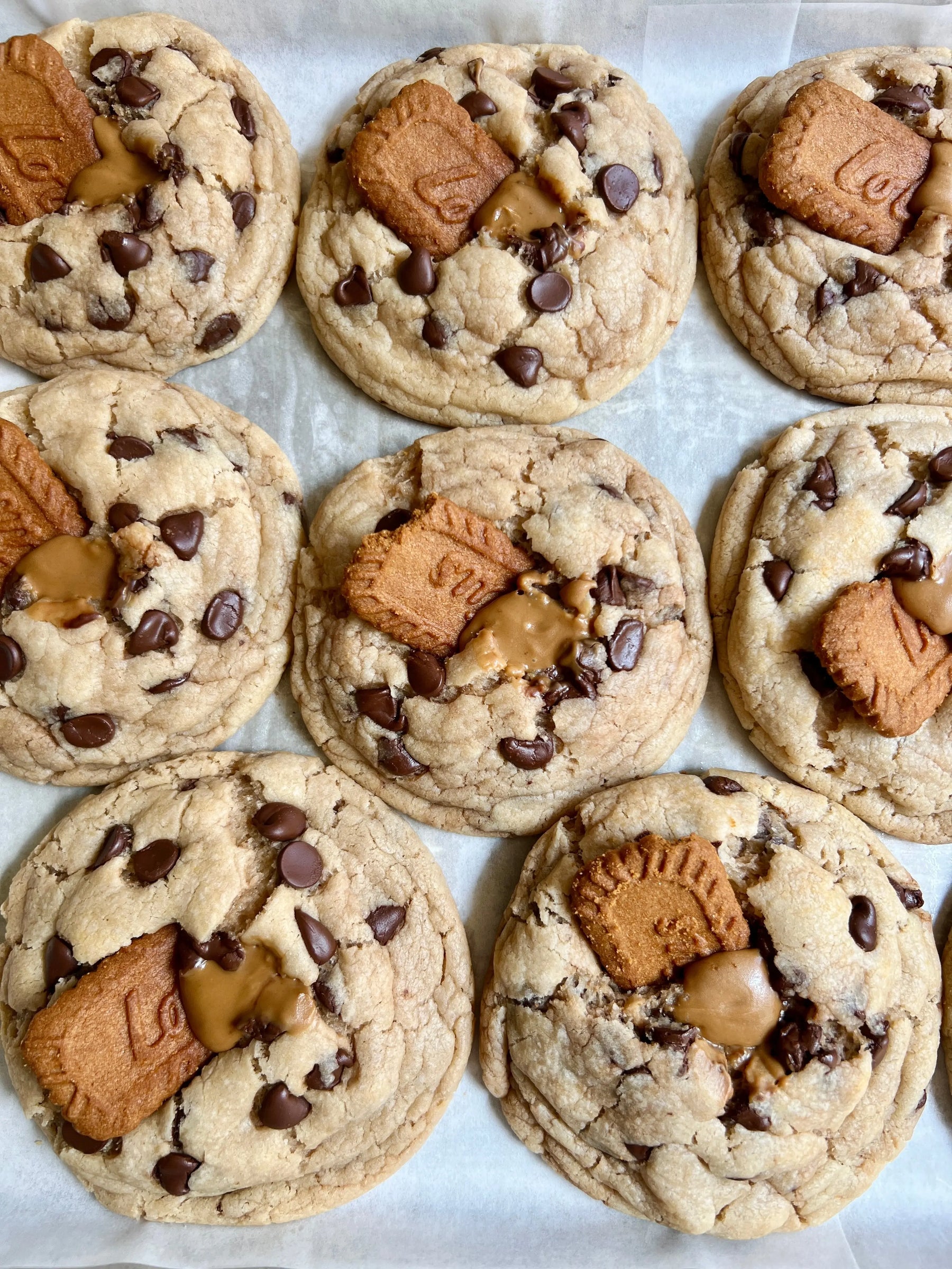 Chocolate Chip Biscoff Let's Get Baked Artisan Desserts