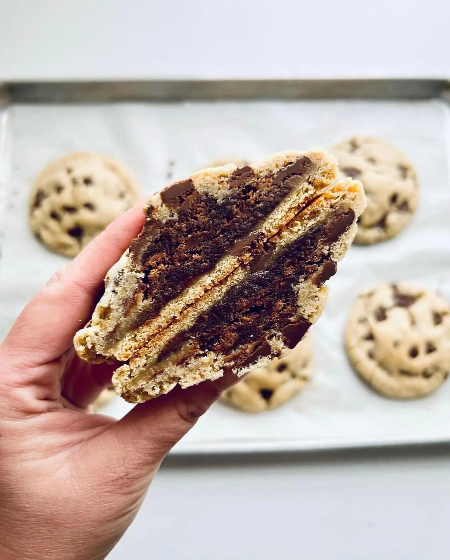 Chocolate Chip Brownie Let's Get Baked Artisan Desserts
