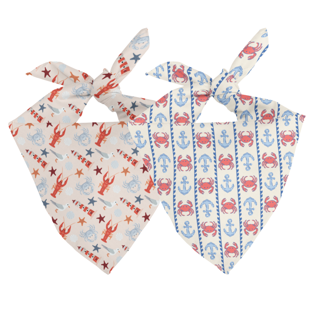 Coastal Charm Reversible Dog Bandana